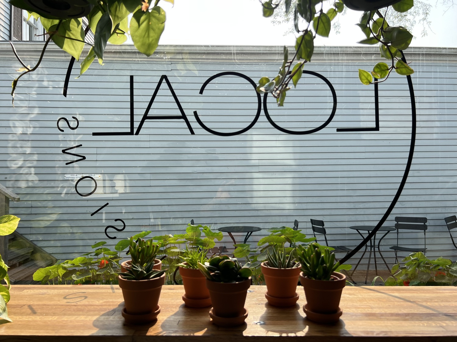 Plants are a big part of the decor, and are also offered for sale at Local Provisions.