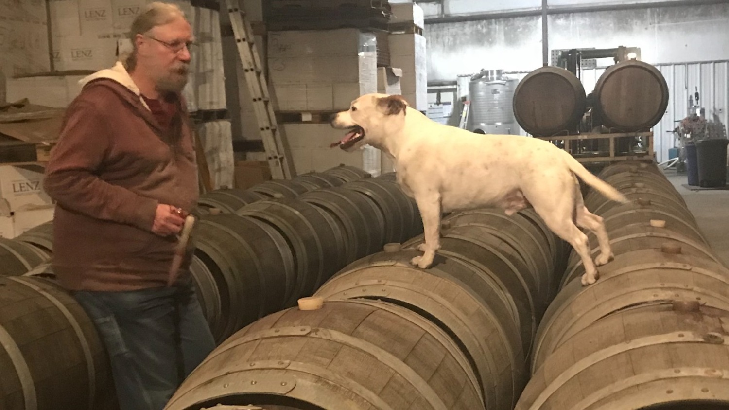 Former Lenz Winery winemaker Eric Fry discusses wine development with Thomas Spotteck's dog, Matko. COURTESY LENZ WINERY