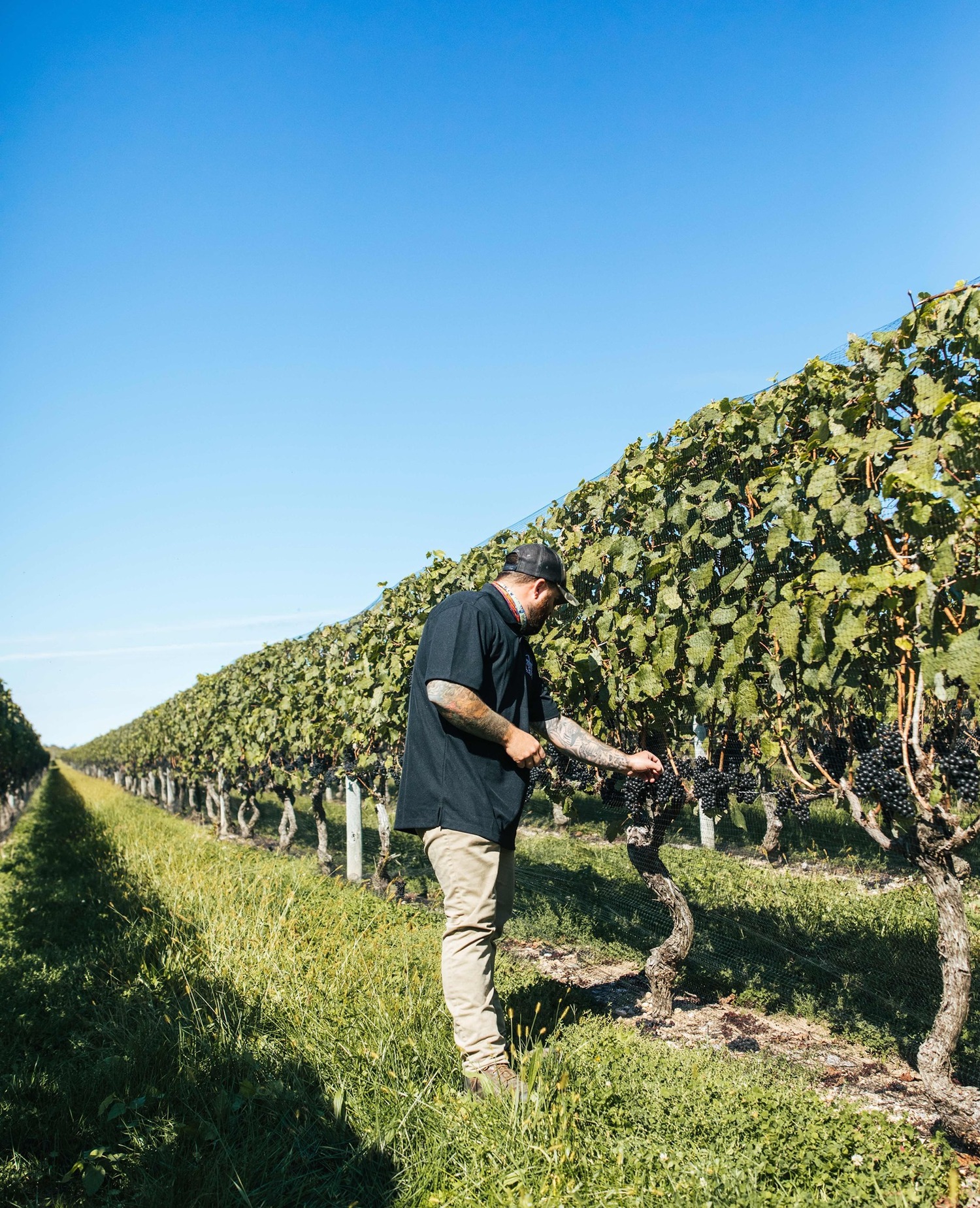 Lenz Winery winemaker Thomas Spotteck among the vines. COURTESY LENZ WINERY