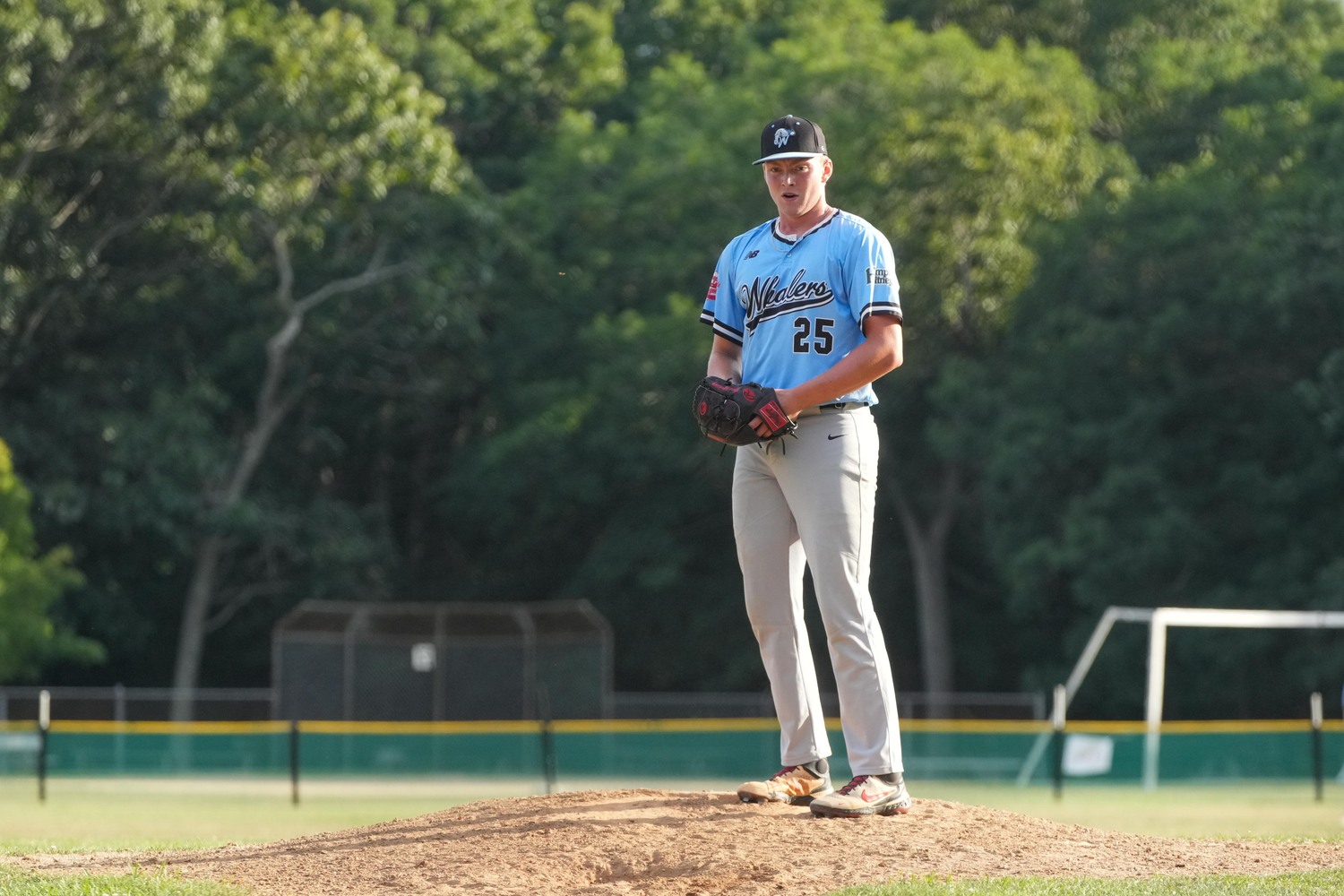 Brett Borcherding closed out last year's Hamptons Collegiate Baseball League's Championship series for the Whalers.   RON ESPOSITO