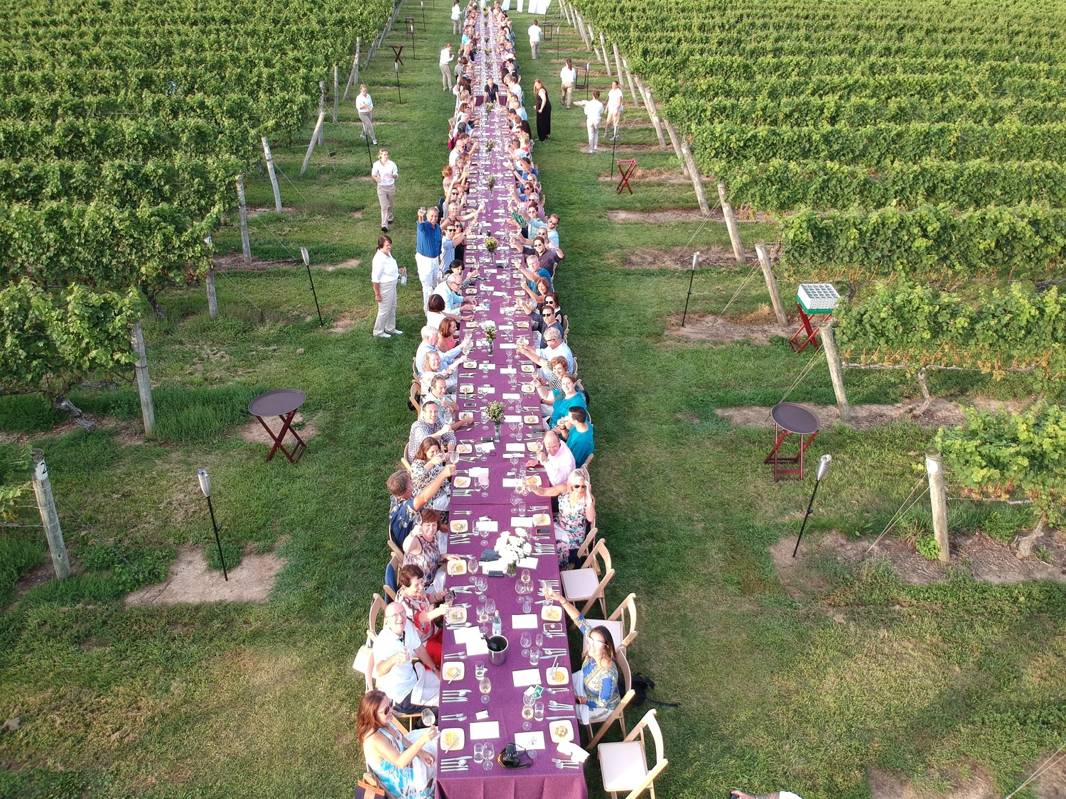 Dinner in the Vines at Lenz Winery in Peconic, which is returning after a three-year hiatus. COURTESY LENZ WINERY