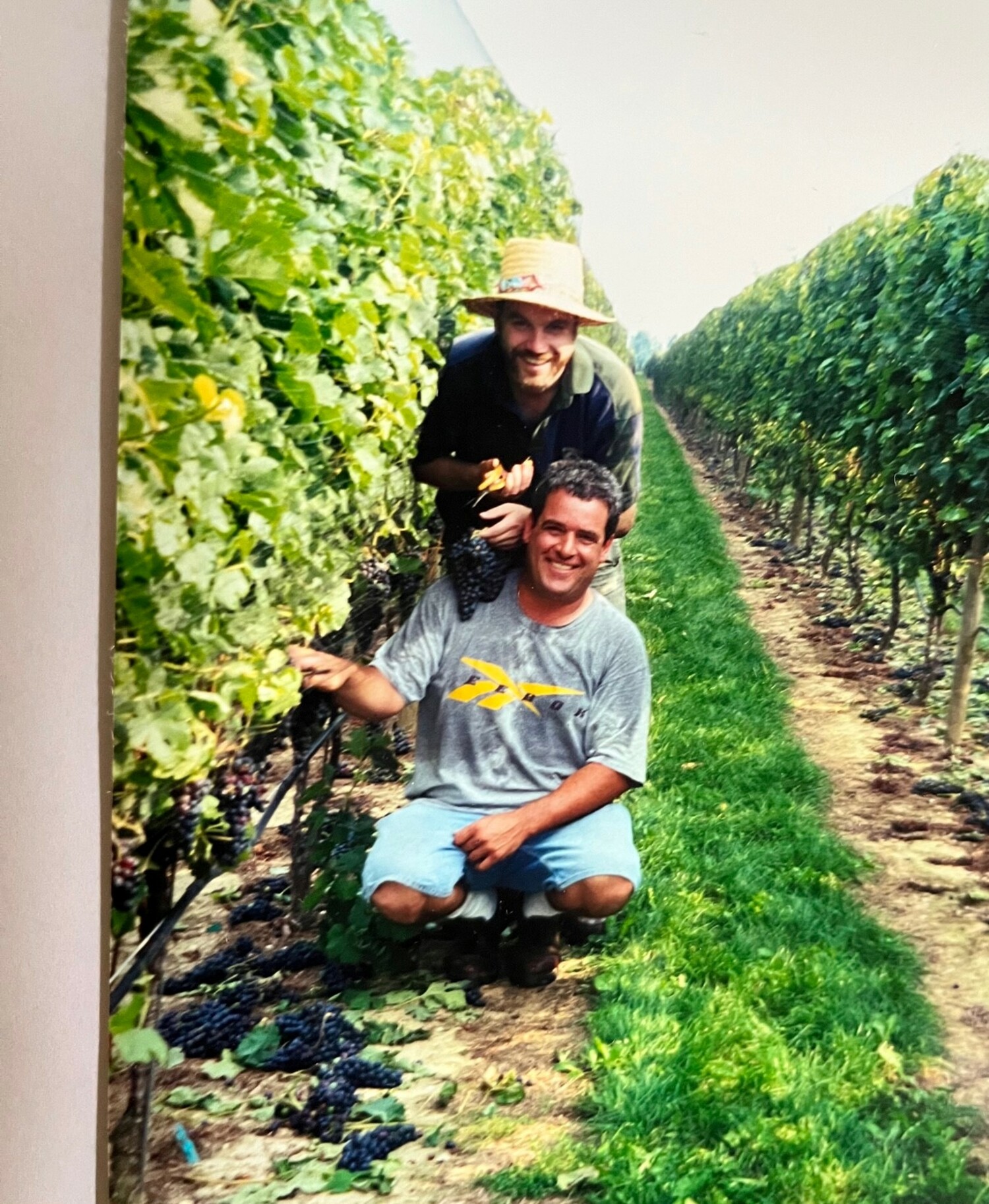 Wölffer Estate Winemaker Roman Roth and Vineyard Manager Richie Pisacano. COURTESY WÖLFFER ESTATE VINEYARD