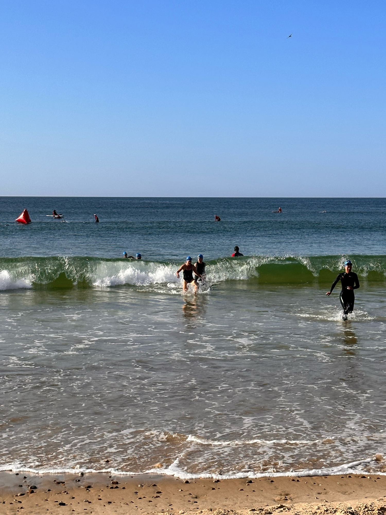 The Montauk Ocean Swim Challenge was held in-person for the first time since 2019 on Sunday morning.    COURTESY MONTAUK PLAYHOUSE FOUNDATION