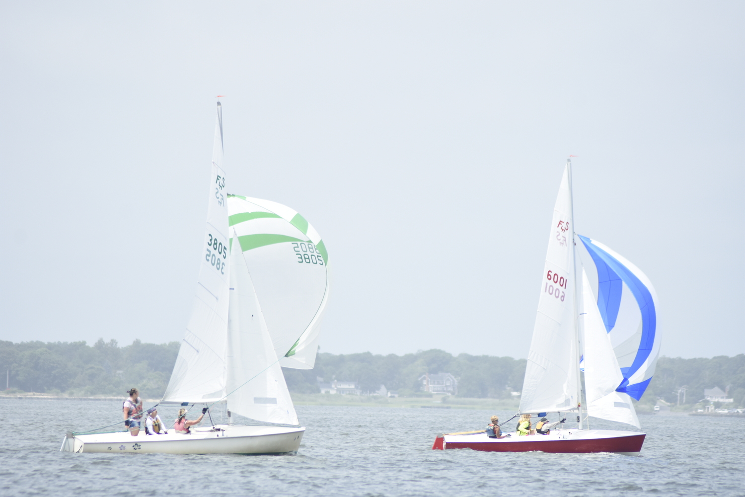 Flying Scots let their spinnakers fly.   DREW BUDD