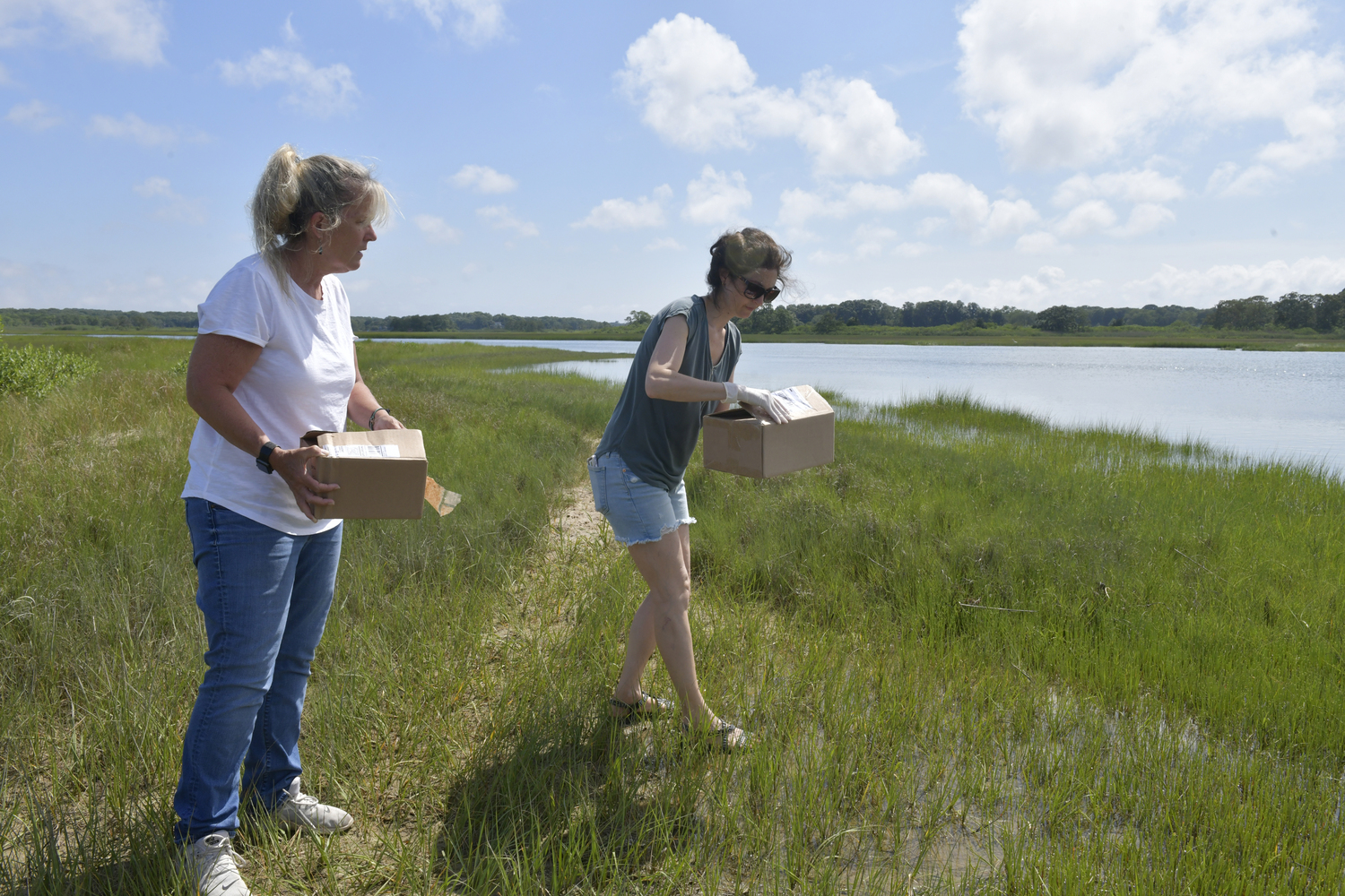 Tracy McLaren and Dr. Marisa Altieri release the baby turtles into Scallop Pond on Friday.  DANA SHAW
