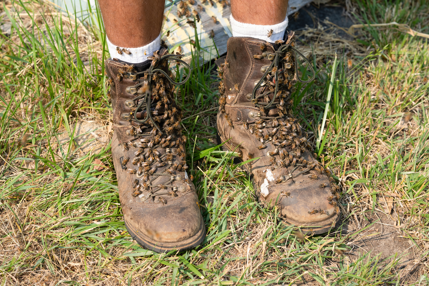 Mica's boots