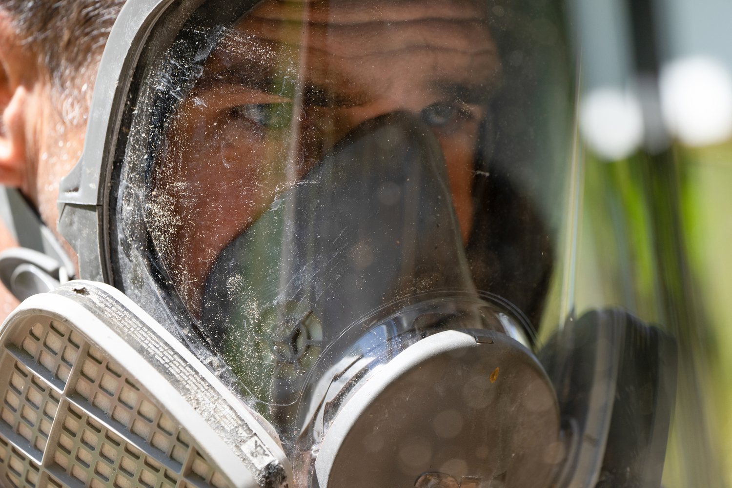 Mica Marder inspects a home where there is a bee infestation.