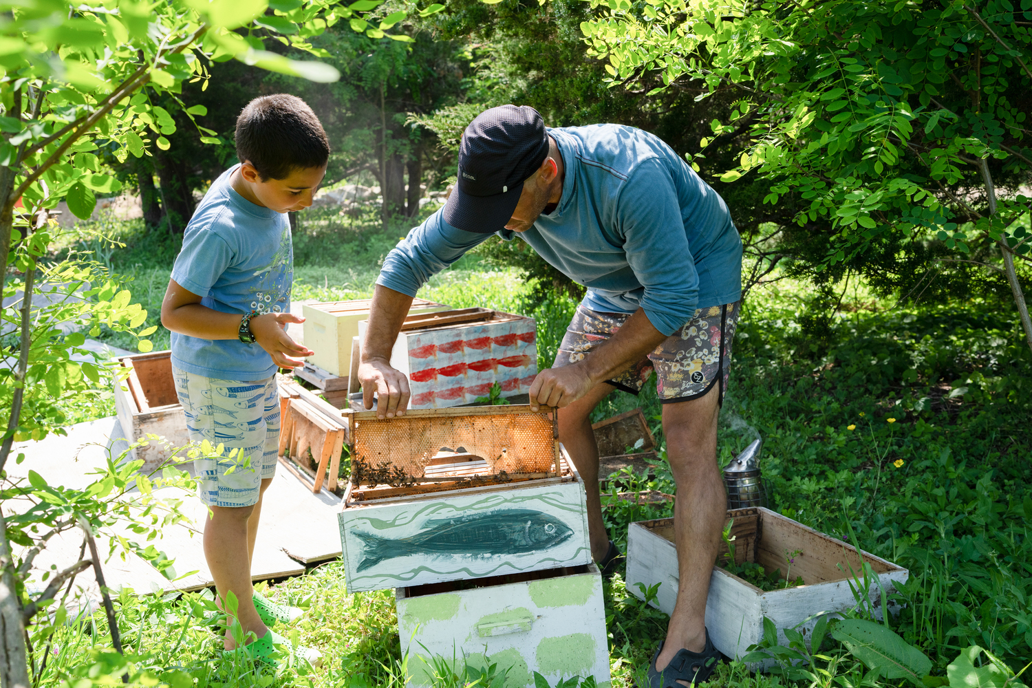 Mica and his son, Eider, inspect a bee hive on his property.