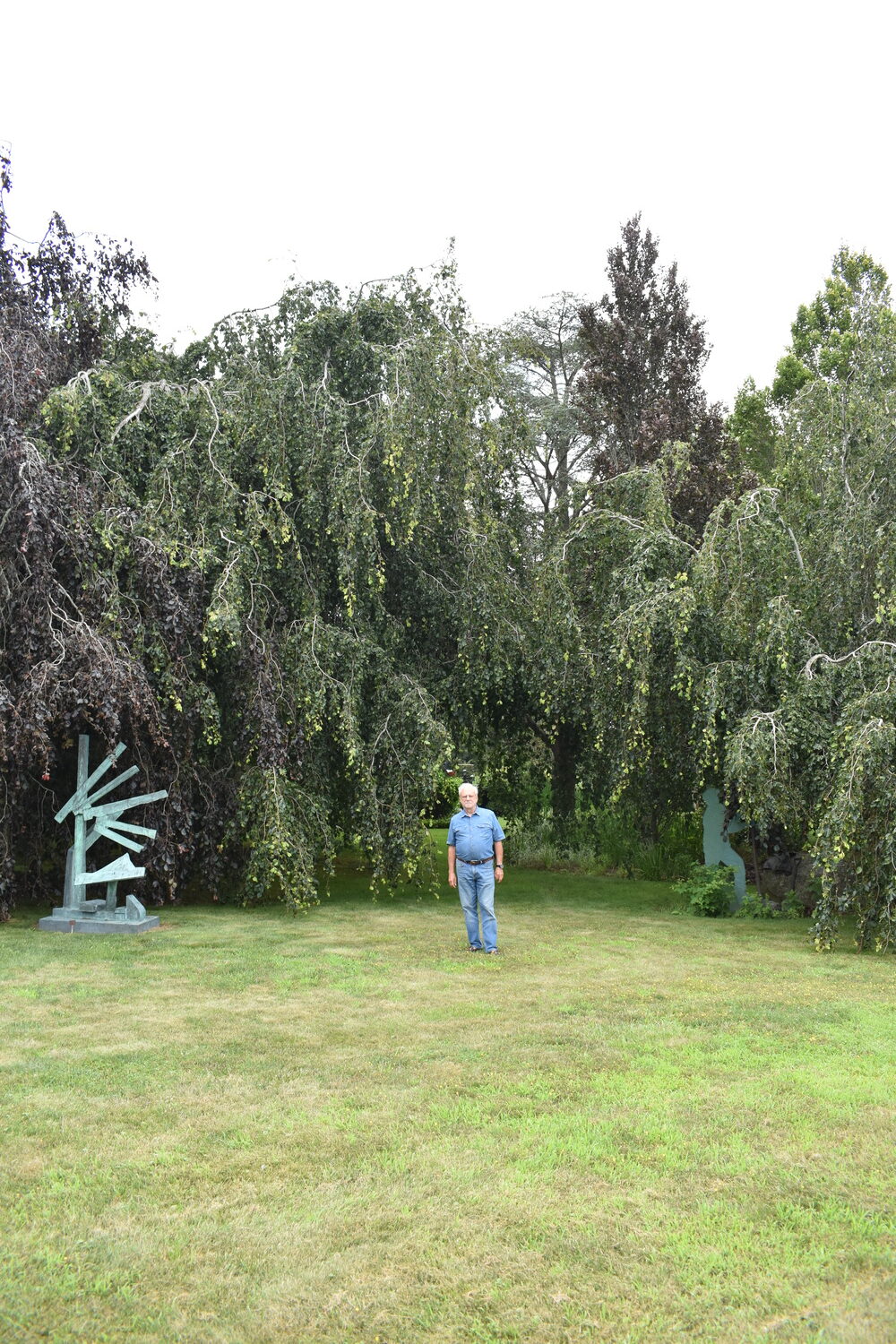 Louis Meisel with his beech trees in his sculpture garden in Sagaponack.  BRENDAN J. O'REILLY