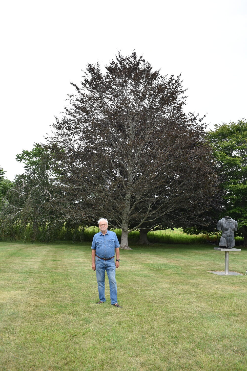 Louis Meisel with his beech trees in his sculpture garden in Sagaponack.  BRENDAN J. O'REILLY