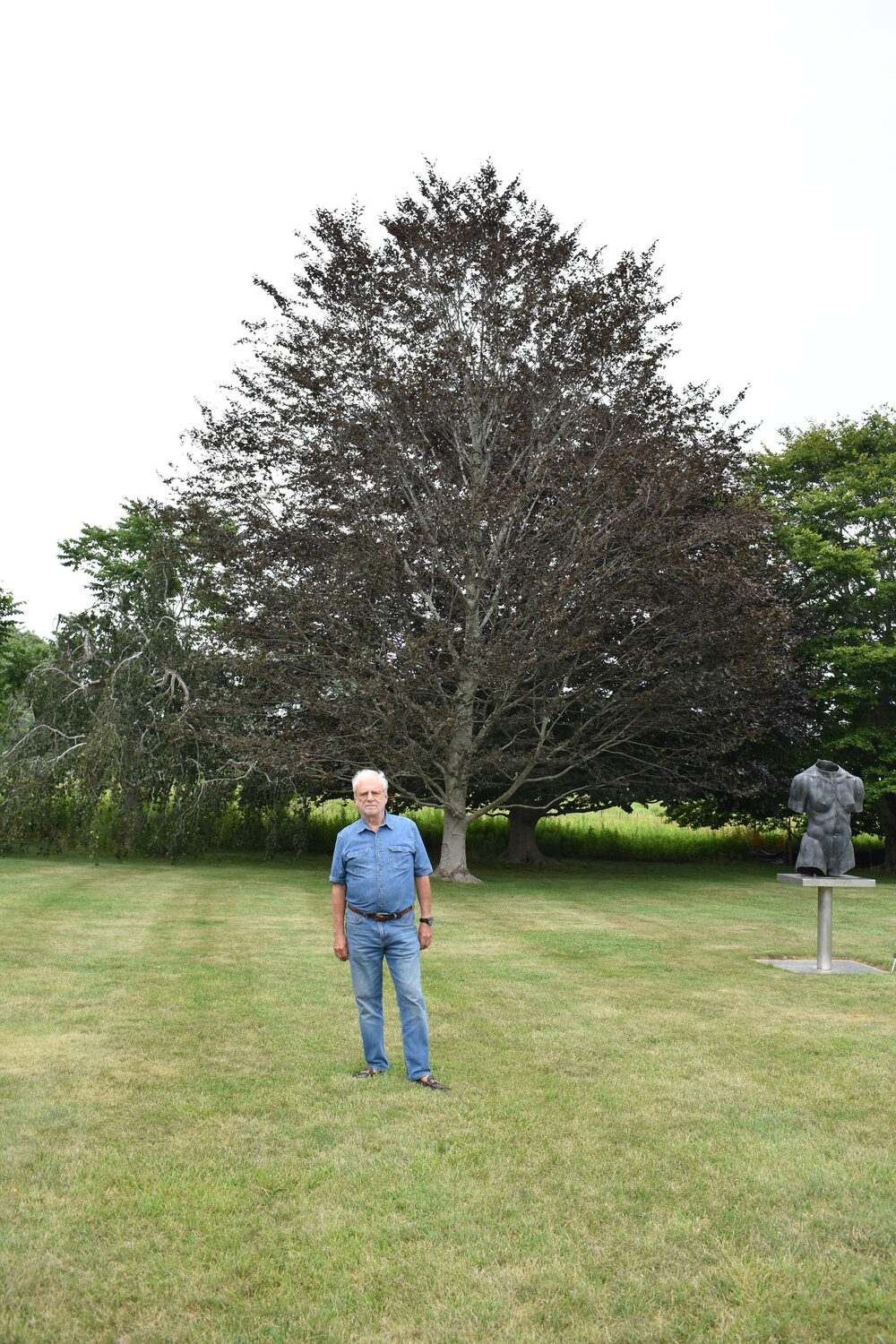 Louis Meisel with his beech trees in his sculpture garden in Sagaponack.  BRENDAN J. O'REILLY