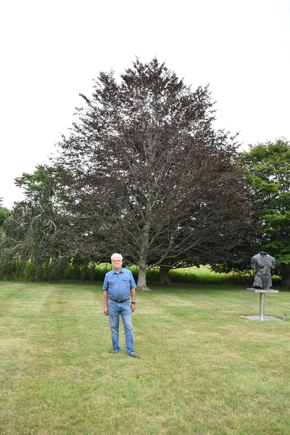 Louis Meisel with his beech trees in his sculpture garden in Sagaponack.  BRENDAN J. O'REILLY