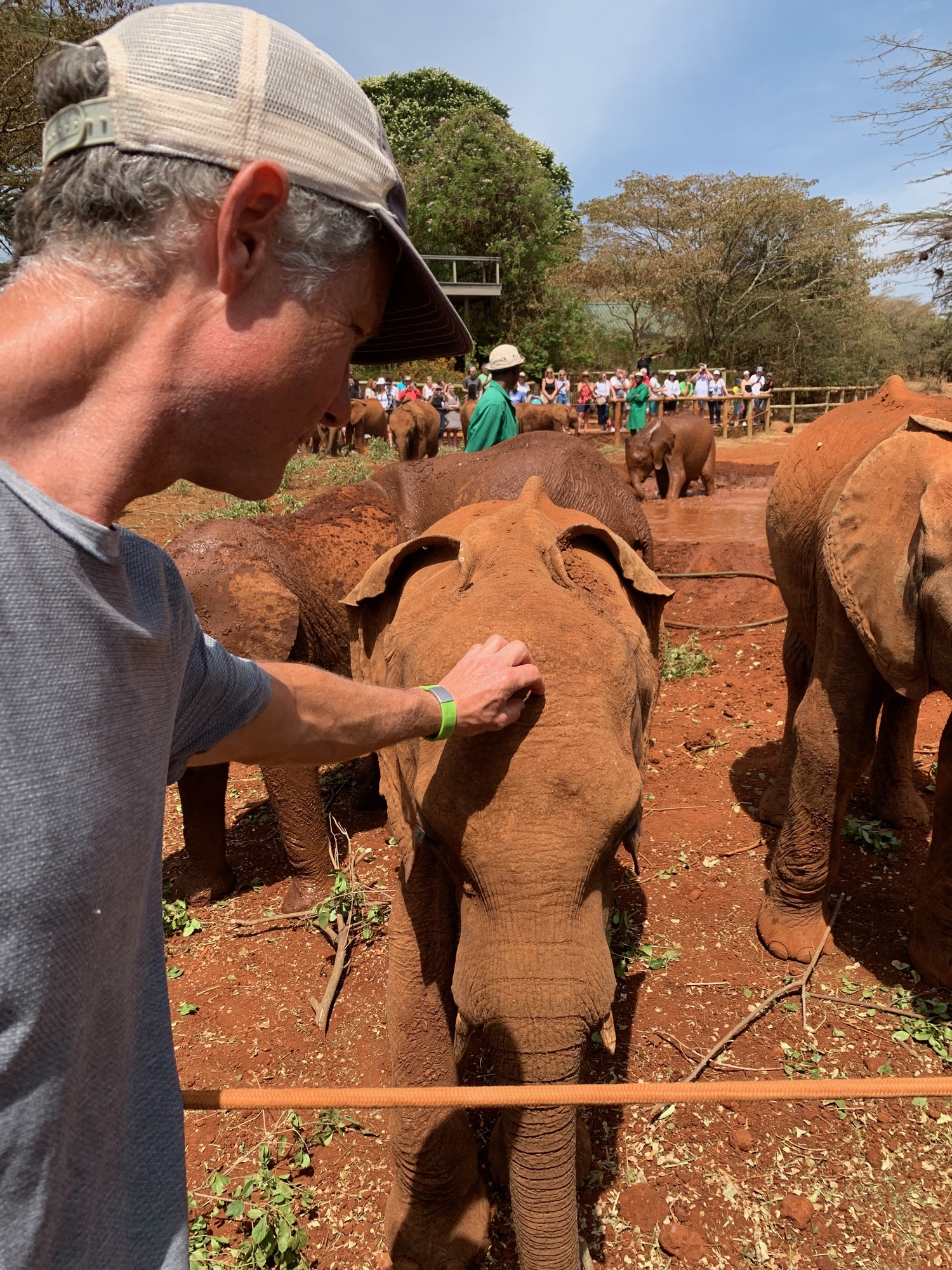 Visiting an elephant orphanage in Nairobi, Kenya. COURSTESY JOE LOUCHHEIM