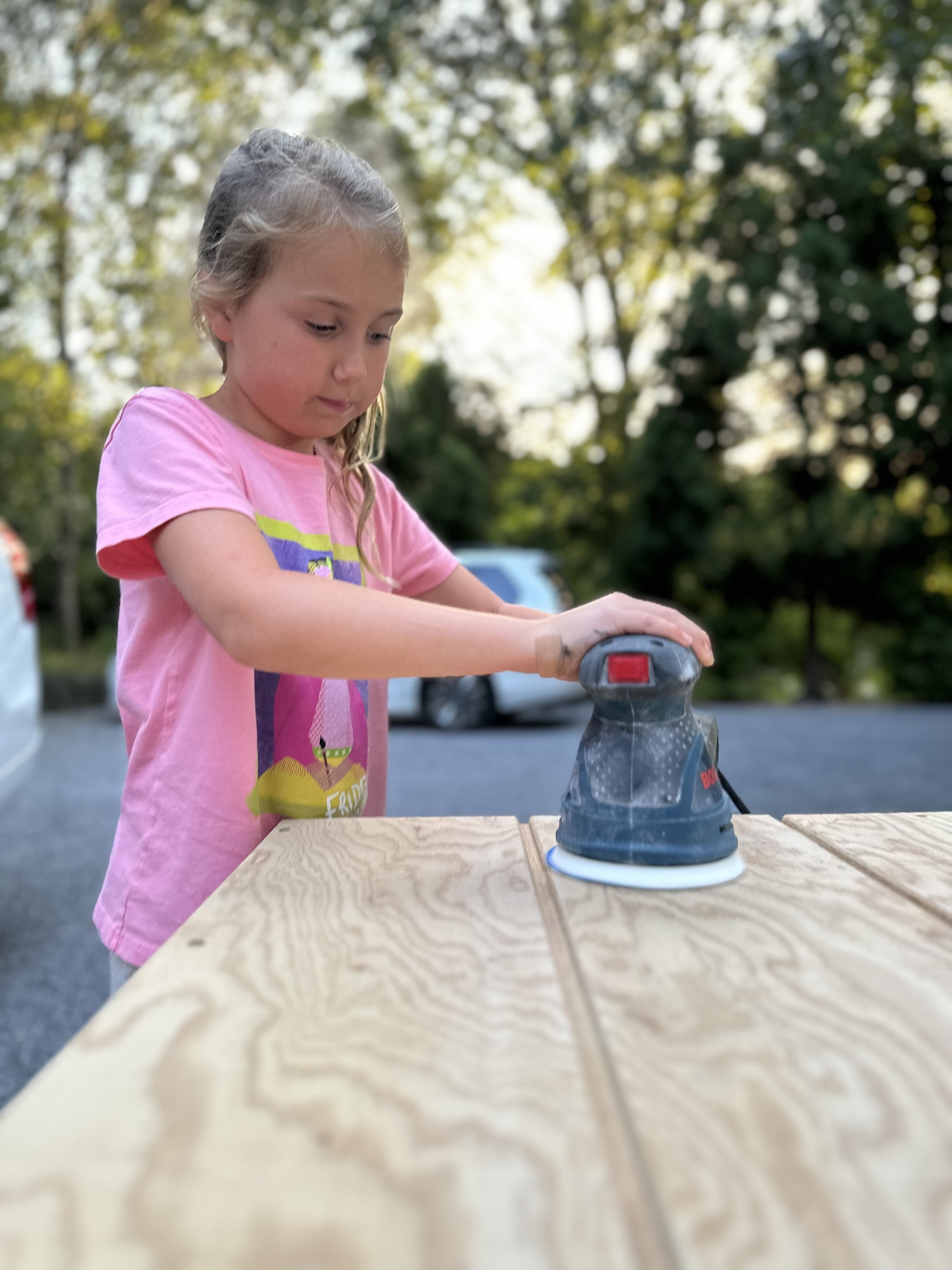 Fiona Scissons, 8, works on sanding the structure she and her sister built, along with the help of their, for their 