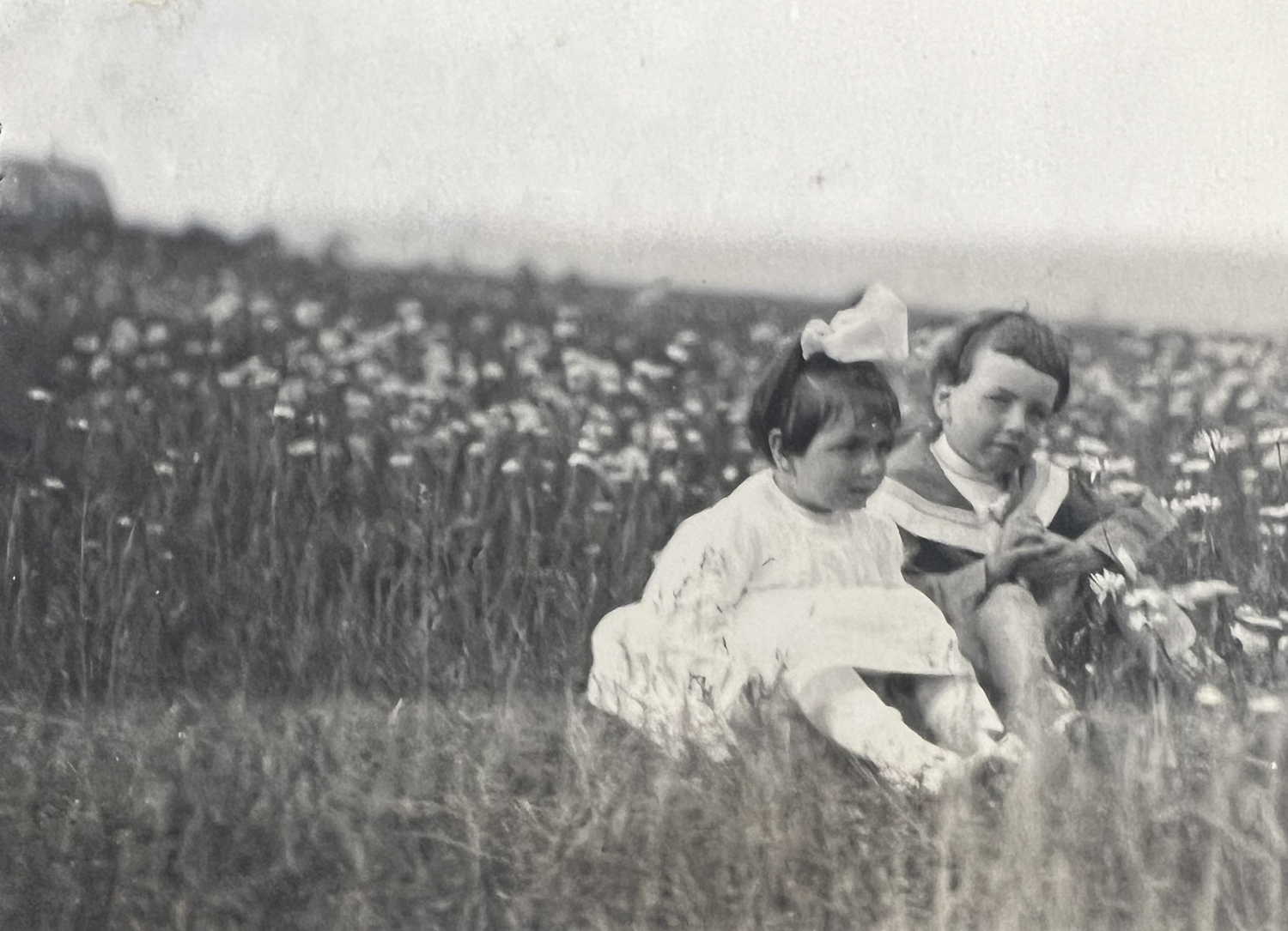 Members of the Dix family in a field near their home in Westhampton in 1909.