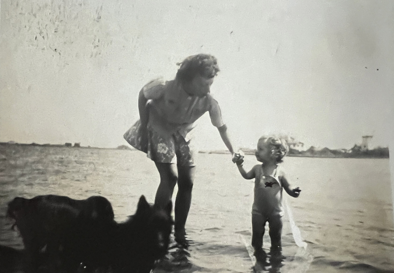 A photo in one of the albums captioned, 