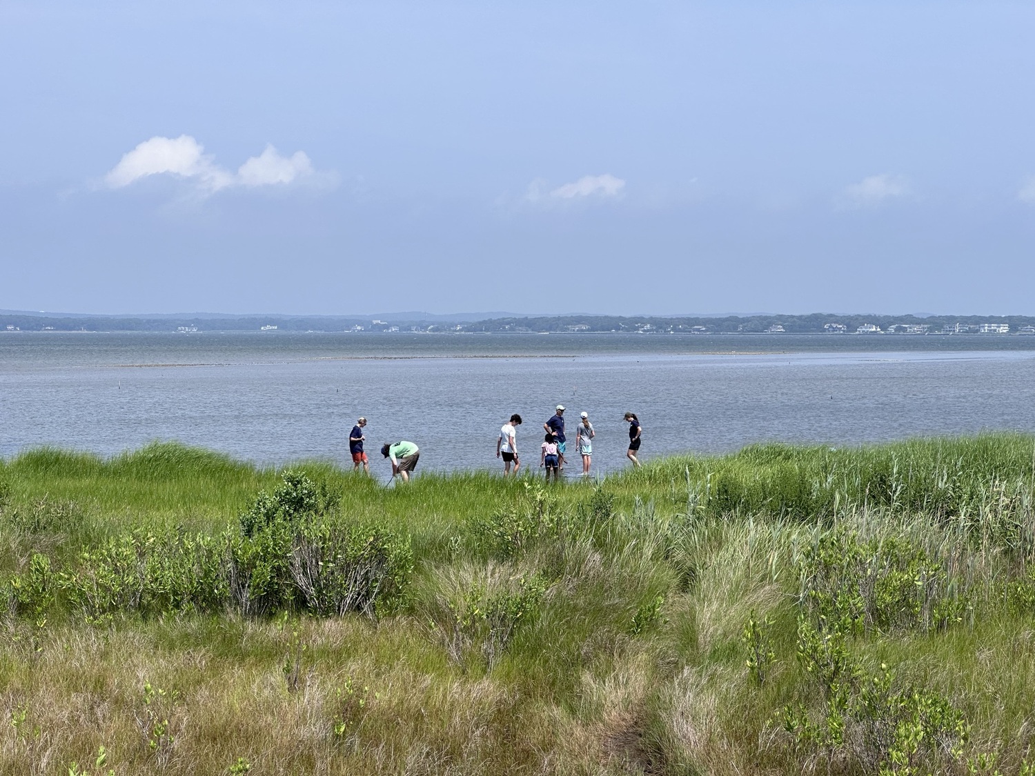 Volunteers and coordinators work together to install oyster reefs. JOHN PAUL FERRANTINO