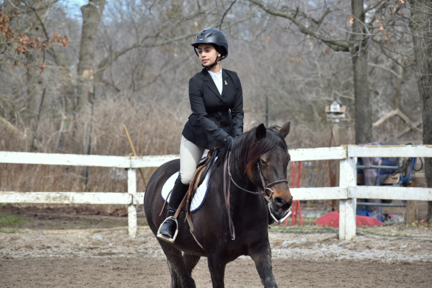 Hampton Bays resident Tara Lauther was the valedictorian of her high school class and earned her bachelors degree two years early from CW Post-Long Island University, where she was a member of the equestrian team. She is planning to head to medical school, but first she will compete for the title of Miss New York at a beauty pageant in Purchase, New York, in early August.