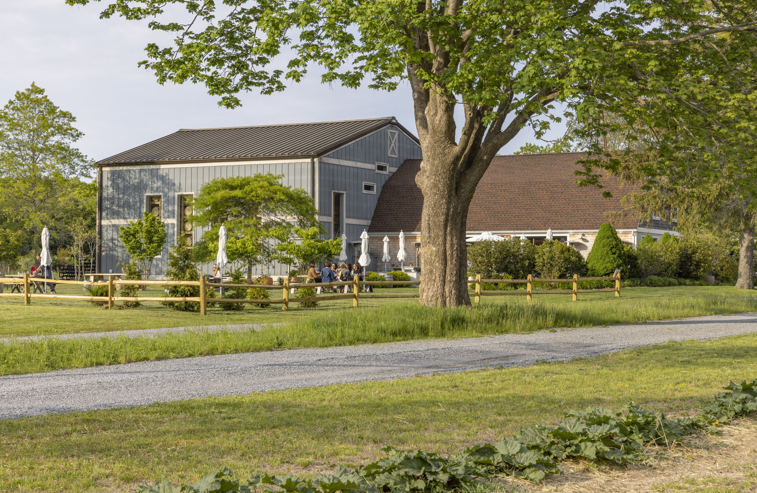 Sagaponack Farm Distillery hosts The Express Magazine's Sips of Summer event “Craft Spirits from Master Distillers” on July 27. JOHN MUSNICKI/@ MUSNICKI_PHOTOGRAPHY