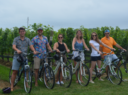 Private Guided Wine Country Bike Tour