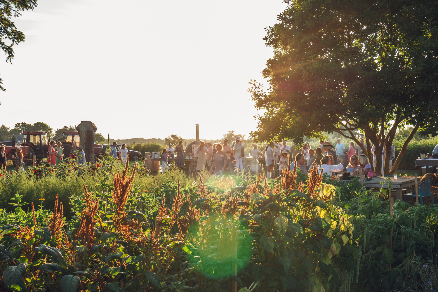 A scene from the 2022 Amber Waves Hoedown fundraiser in Amagansett. JACK COX