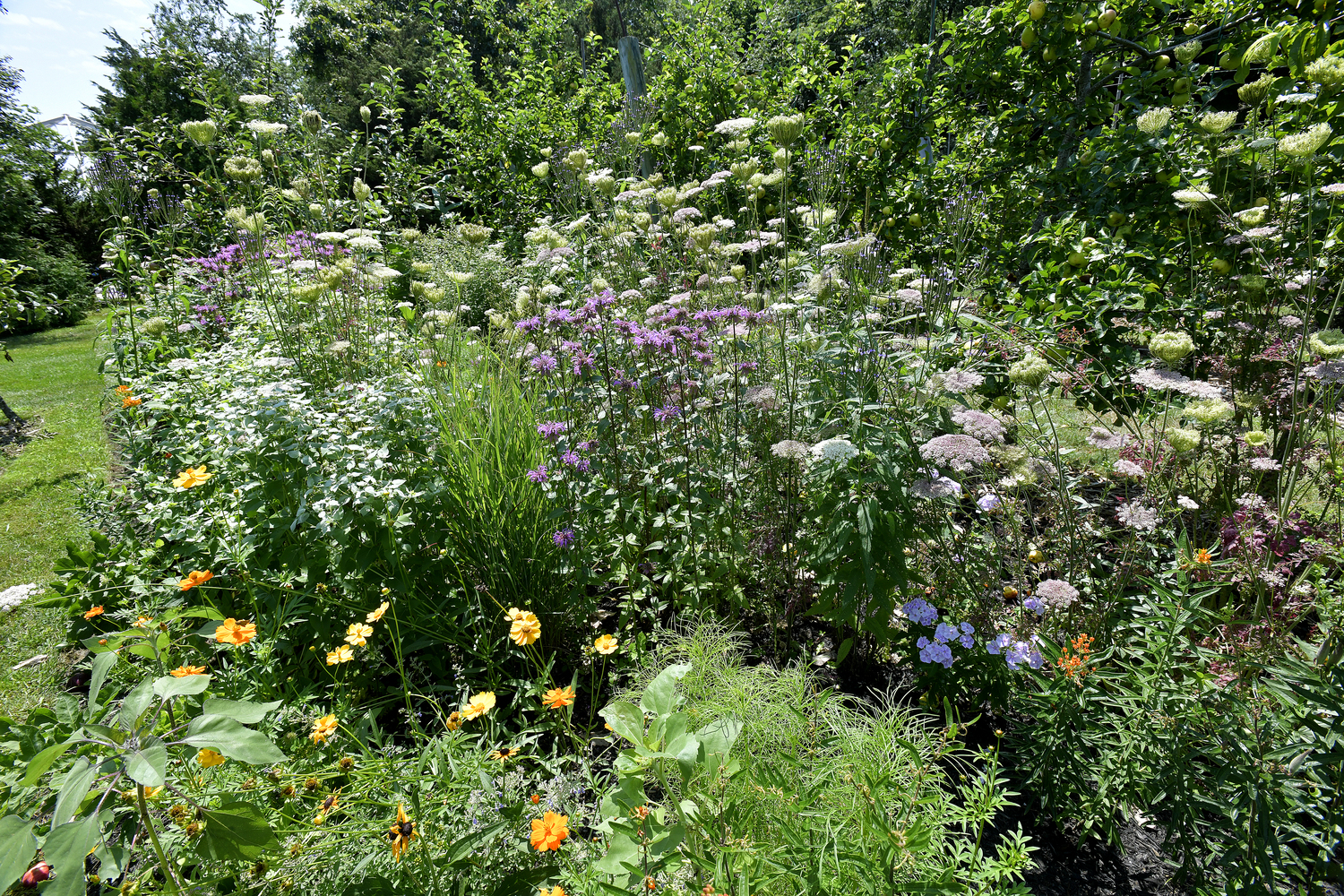 One of the pollinator gardens at the Dimon Estate.  DANA SHAW