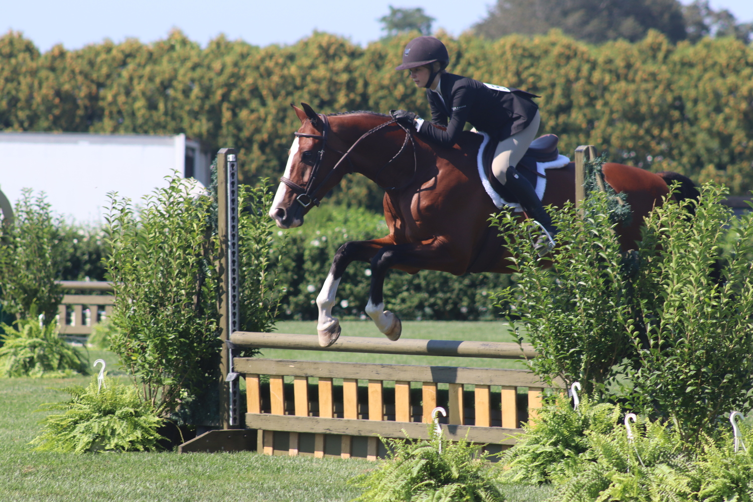 Sag Harbor resident Ava Lynch and her horse, Bay Street, in the medium children's equitation division. CAILIN RILEY