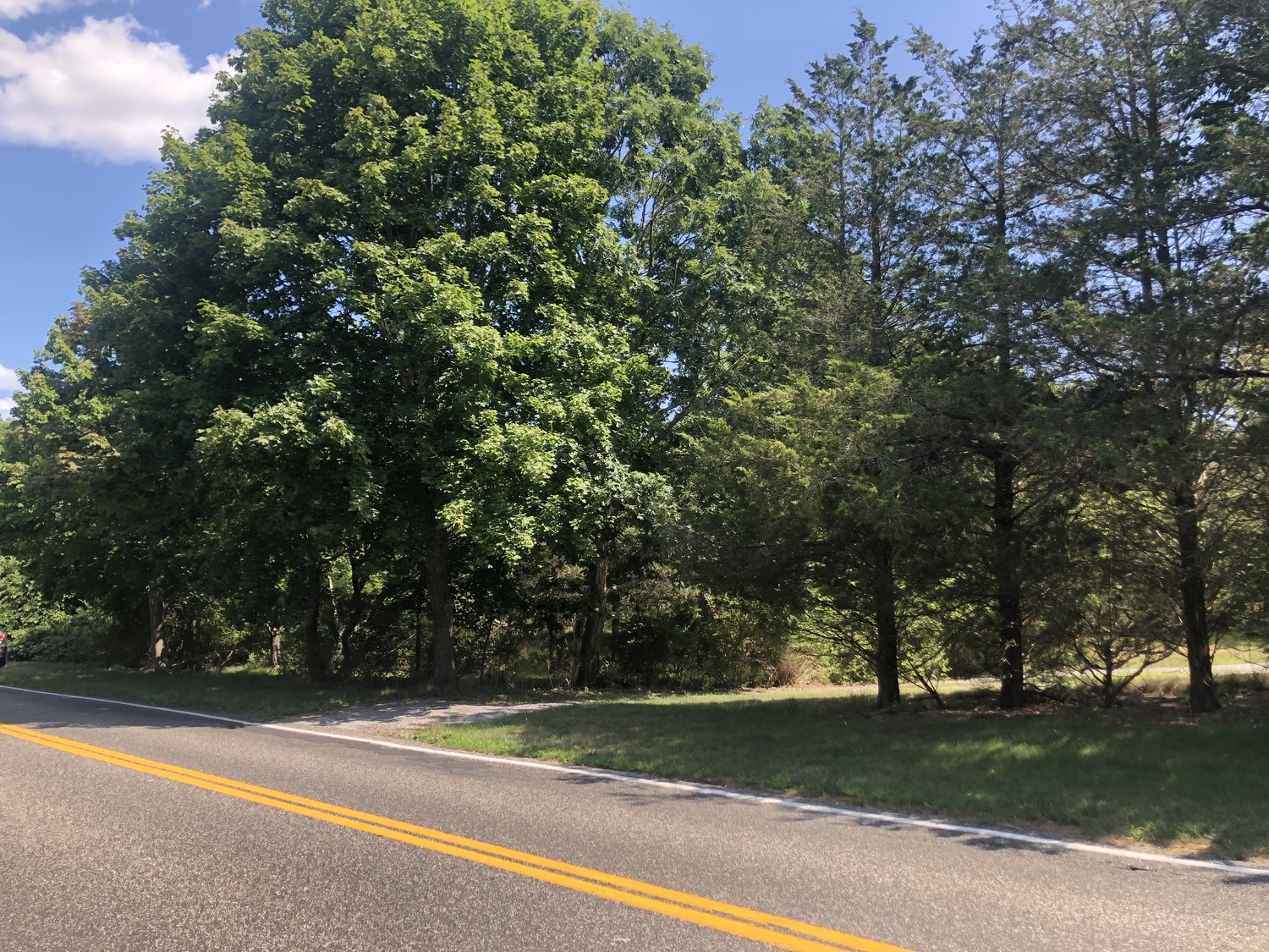 A parcel of land owned by the Southampton Fire District on Upper Seven Ponds Road in Water Mill could be the site of a future fire department substation. CAILIN RILEY