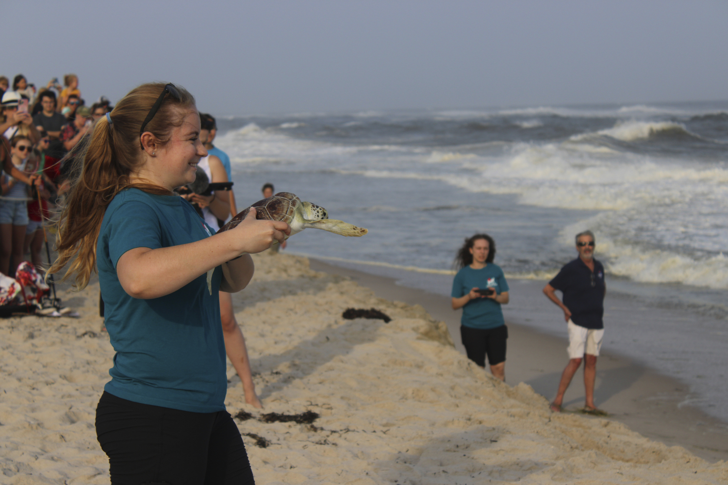 New York Marine Rescue Center hosted its first public release of  seven sea turtles From the 22/23 cold stun season at Tiana Beach in Hampton Bays on July 27.   DYLANN HANRAHAN