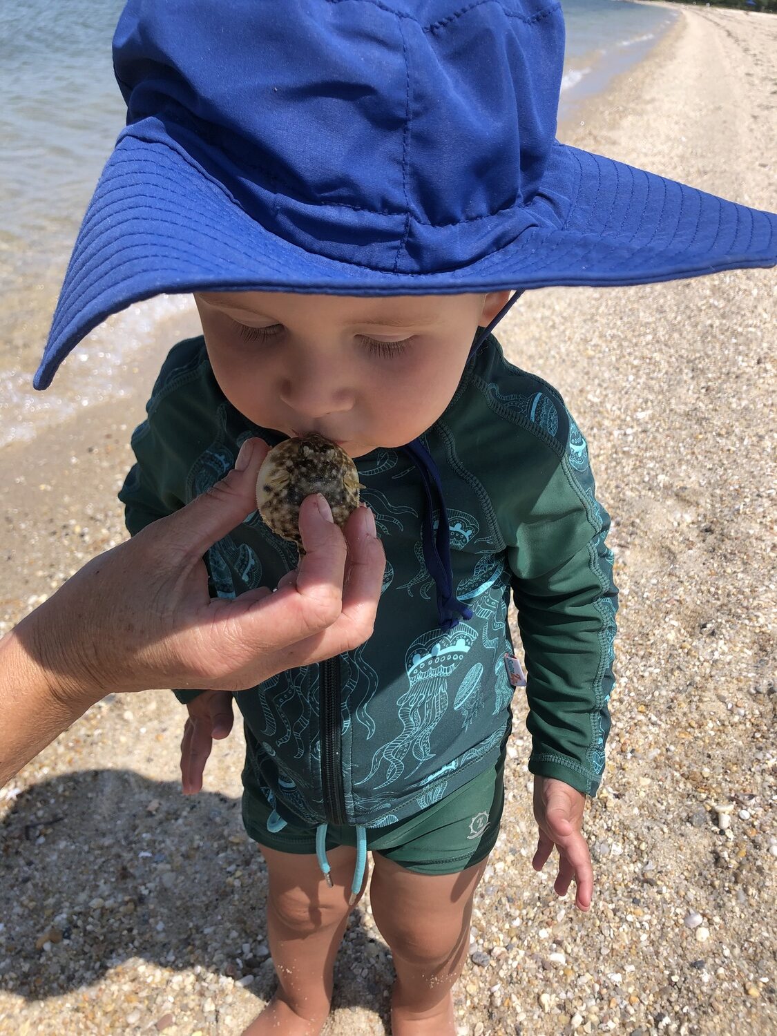 The author’s little grandson, Bennett, enjoys an encounter with a blowfish.