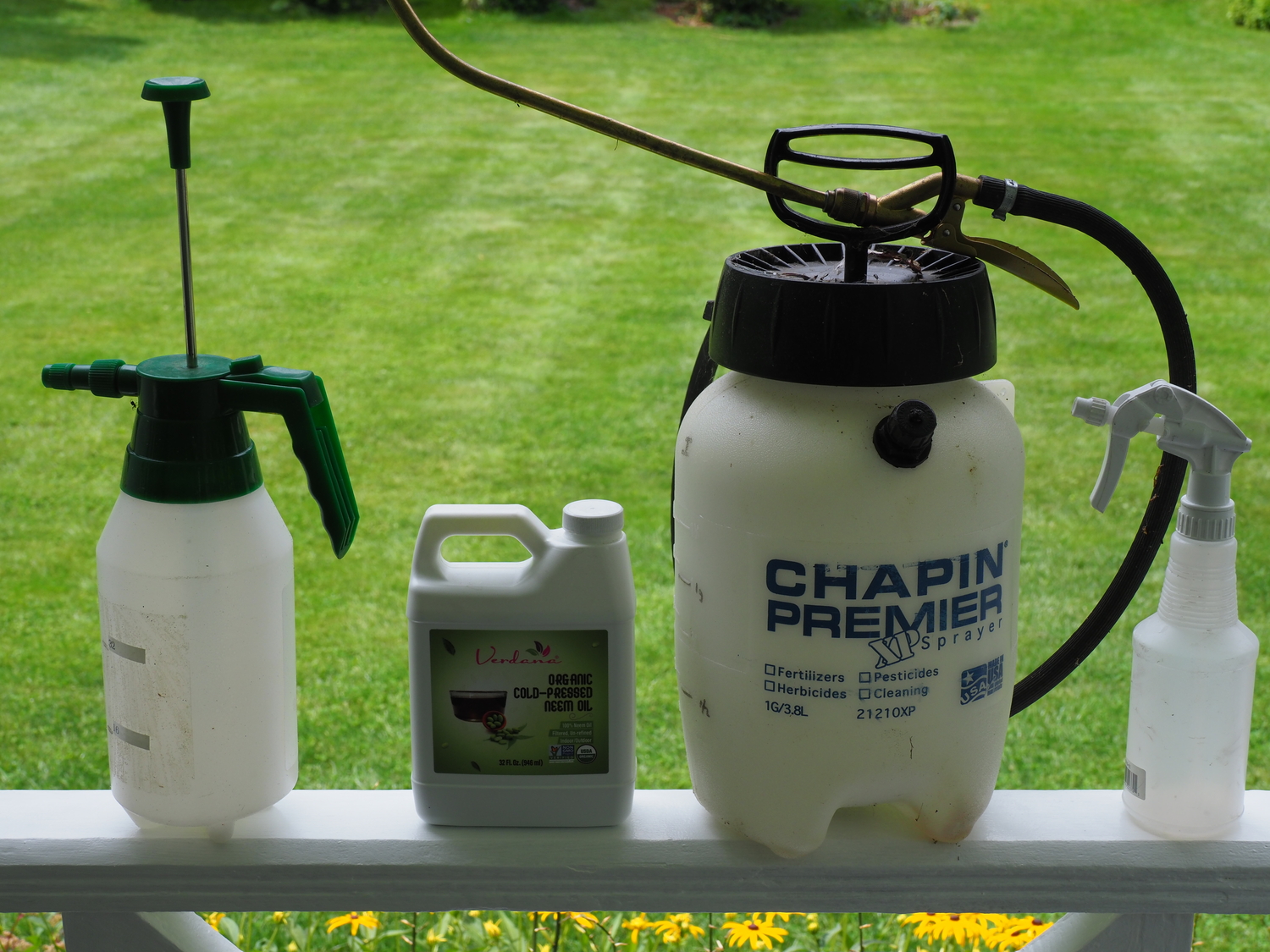 Tools for the houseplant cleanup, left to right. A one-quart compression sprayer.  Verdana cold pressed Neem oil. A 1-gallon compression sprayer and on the far right a small hand-trigger sprayer. All available at garden and hardware stores except the neem oil, which you can buy online. The 1-quart sprayer will work best for most but the largest houseplants.   ANDREW MESSINGER