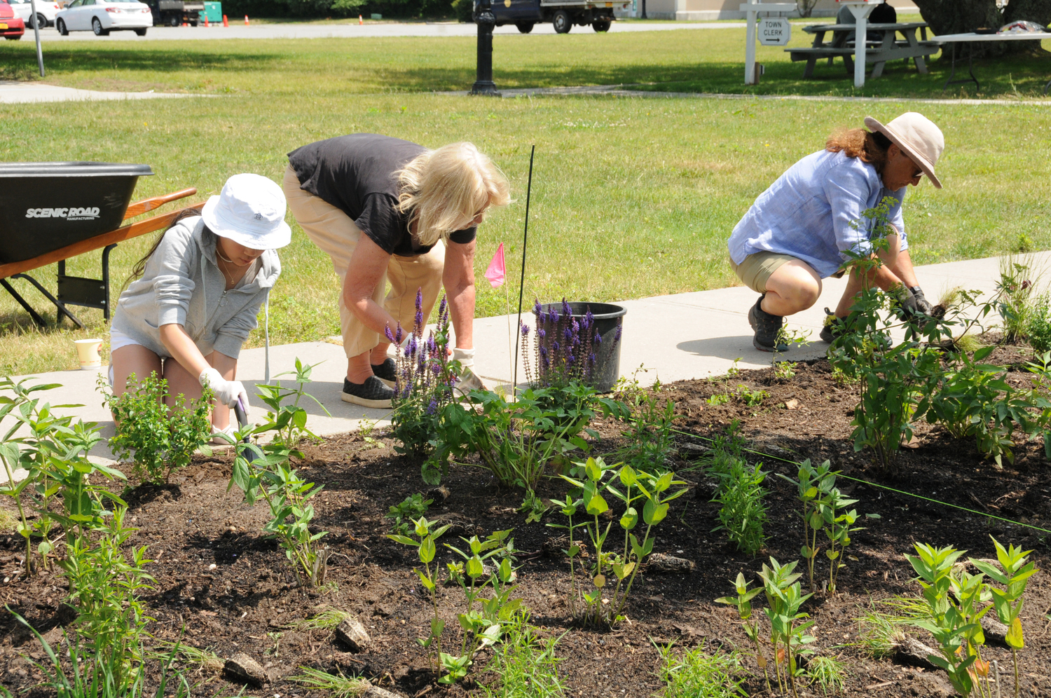Volunteer gardeners plant native plants at the East Hampton Town Hall Pollinator Garden in June.  RICHAD LEWIN