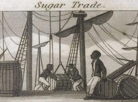 Colonizing Sweetness: The History of Sugar in America