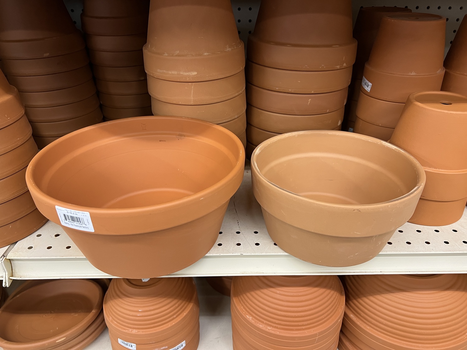 Clay pots are the best type for bulb forcing as plastic pots easily lead to rotting. On the left a 10-inch pot and on the right is an 8-inch pot. As the pots get smaller they also get shorter. A 10-to12-inch pot should hold eight to 12 tulips or daffodils depending on the size of the bulbs. The larger bulbs yield the best flowers. Smaller pots are better for the smaller bulbs like crocus. Mixing and matching different types of bulbs in one pot is not recommended.
ANDREW MESSINGER
