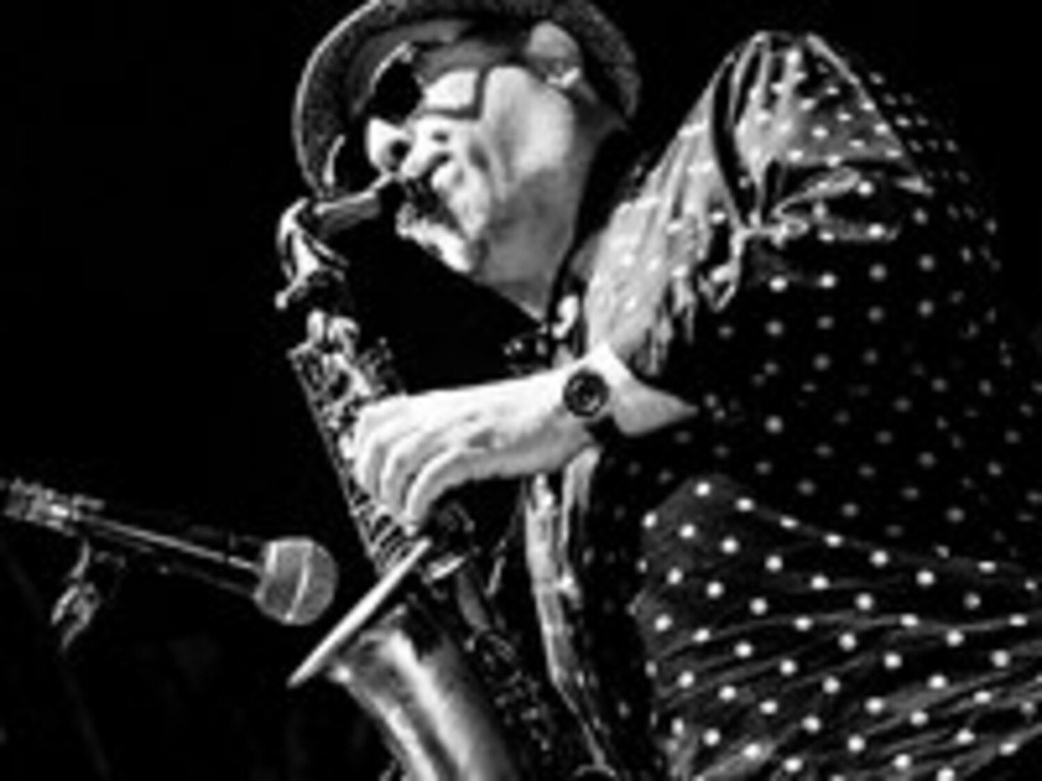 Laura Tenenbaum of The The Oscar Feldman Trio. COURTESY LTV