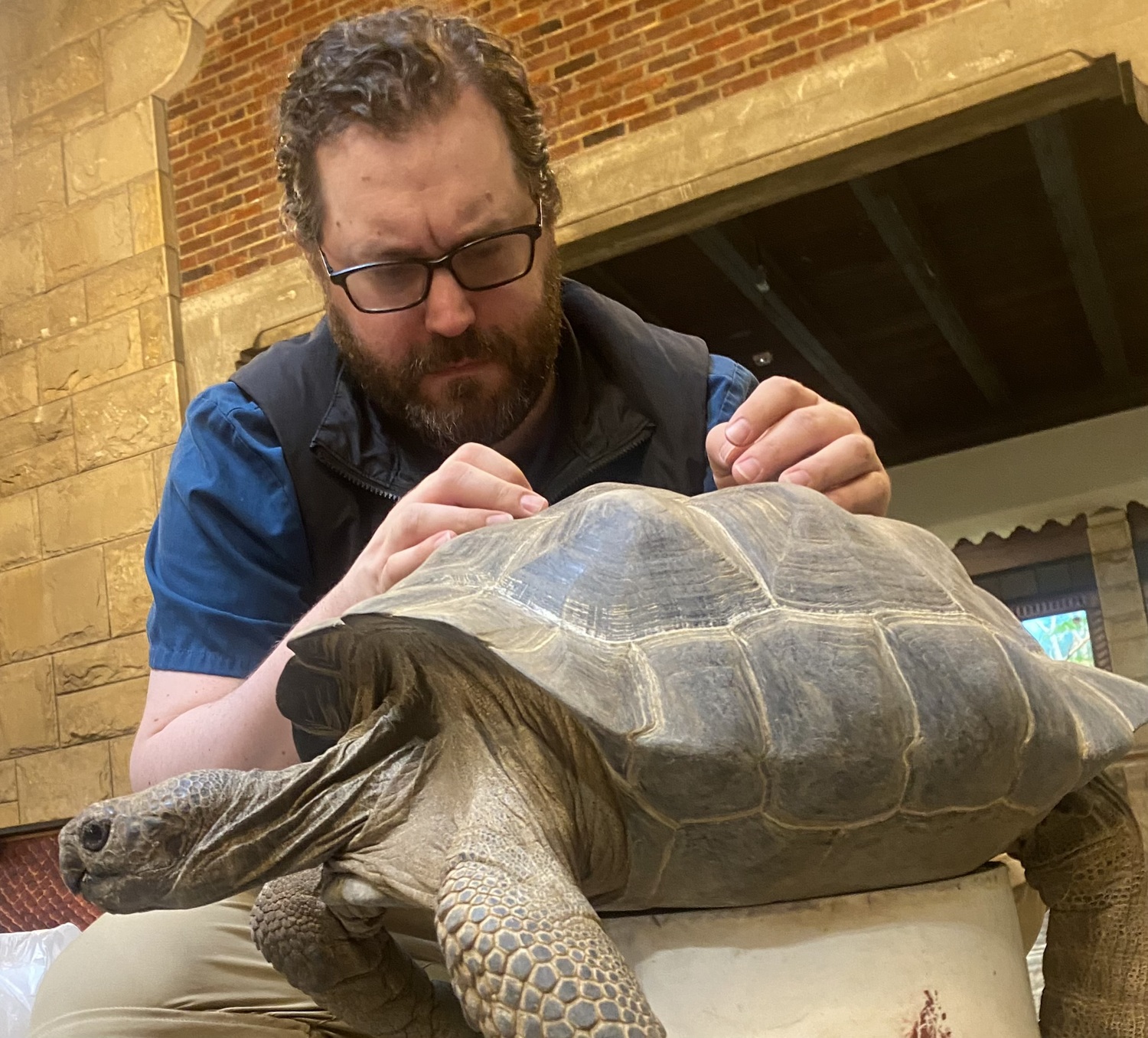 East Hampton native Dennis Michels, who is now a veterinary doctor in Toledo, Ohio, with a Galapagos tortoise.