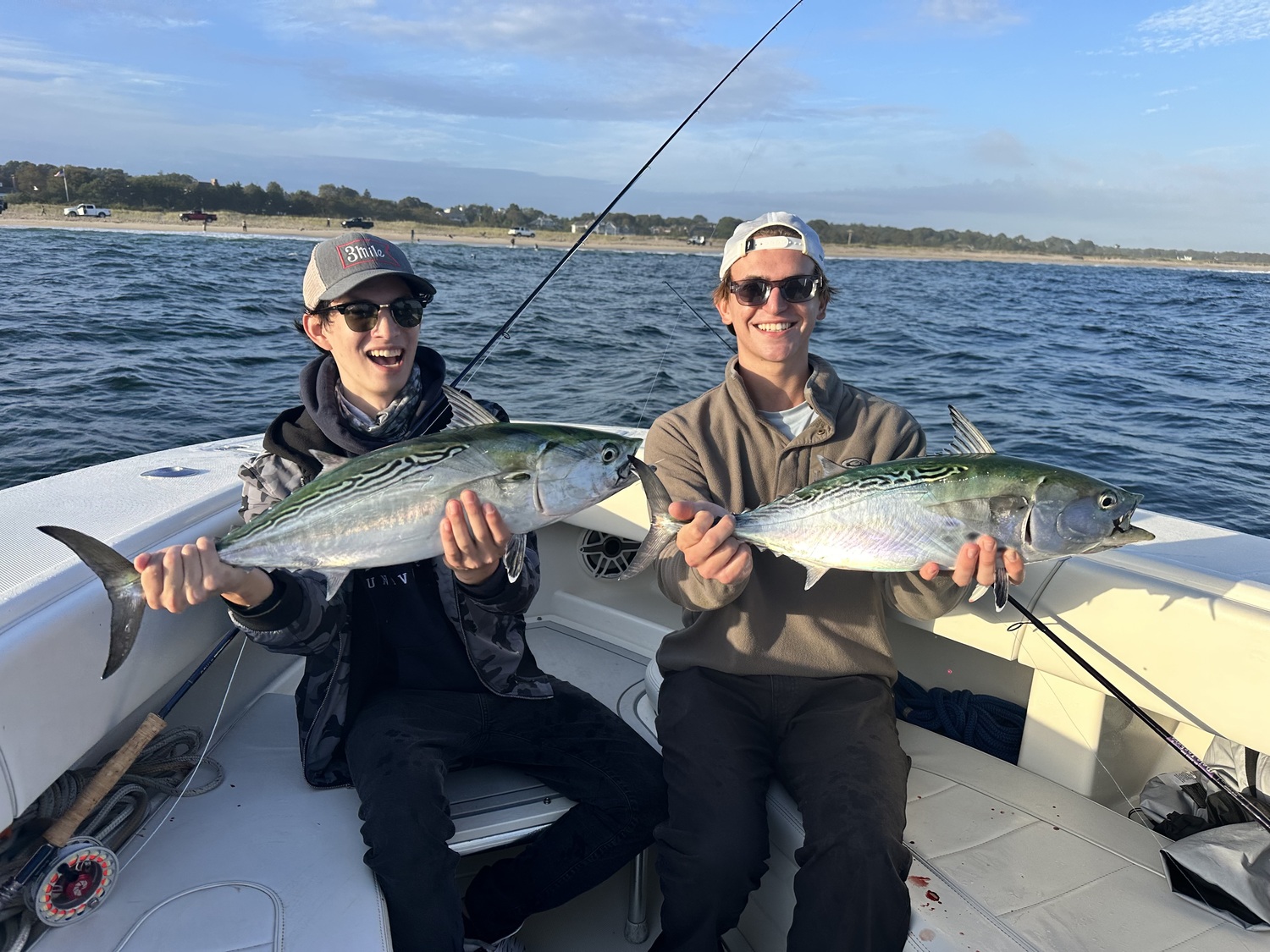 There are still false albacore around but they have been relatively scarce in our waters in the last couple of weeks, thanks to the tumult of hurricane swells and noreasters. Beili Chou and Connor Nickel had to go up to the Rhode Island coastline to catch these albies last week.    LUYEN CHOU