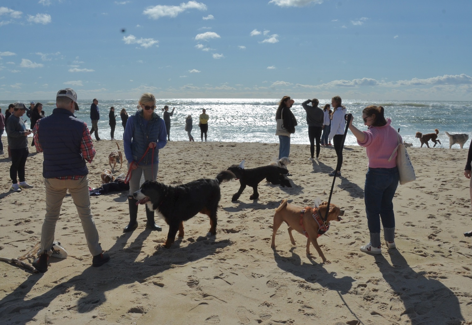 The Animal Rescue Fund of the Hamptons held its annual Stroll to the Sea benefit dog walk on Sunday, October 8, with guests walking from Mulford Farm to Main Beach in East Hampton Village. Kyril Bromley photos.
