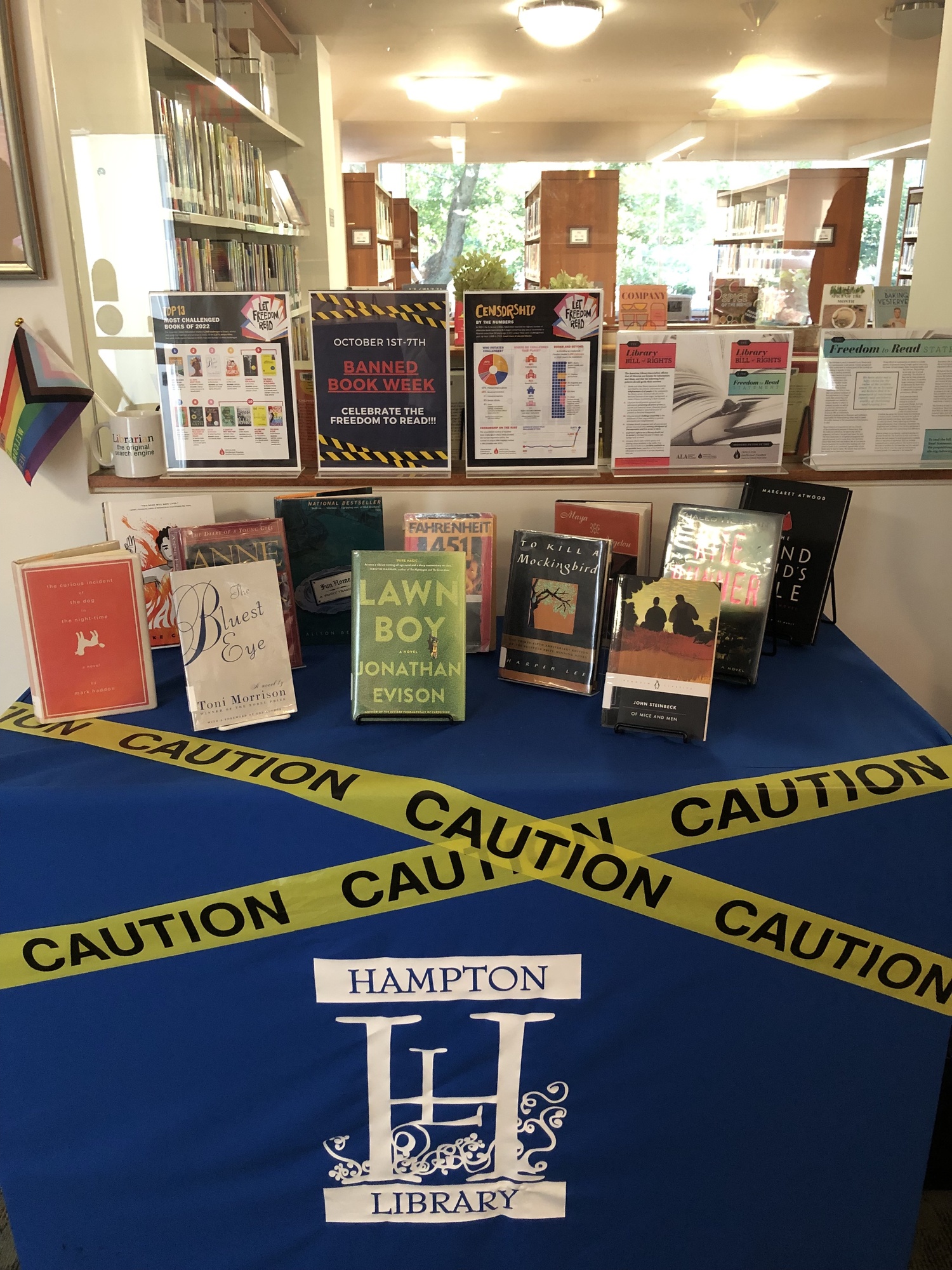 A section of the adult banned book display at the Hampton Library in Bridgehampton. LISA MICHNE