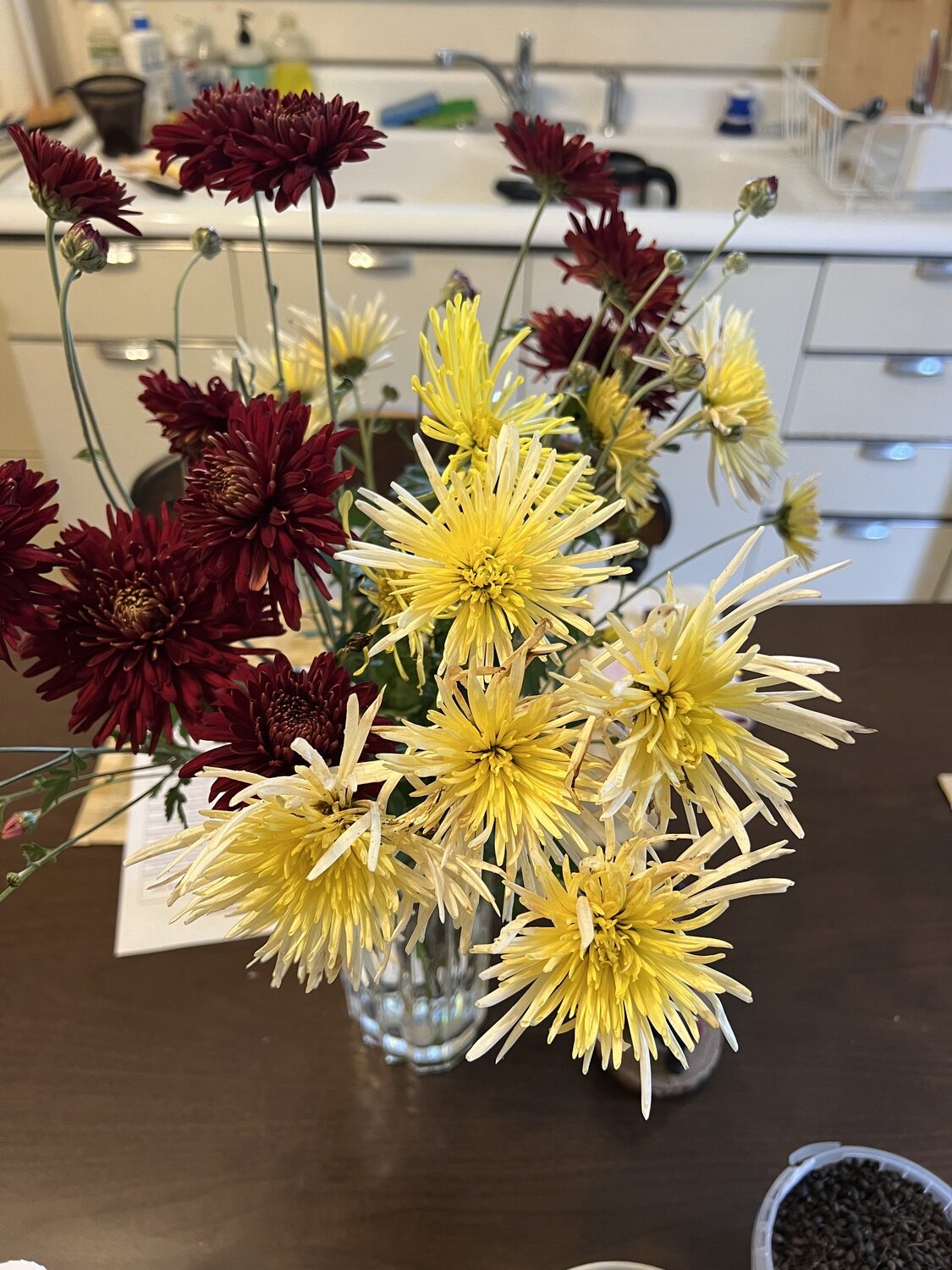 A simple tall glass vase on the kitchen table is never empty as long as there are flowers in the garden. This day’s cuttings were two of the mums added to the cutting garden just four months ago.   ANDREW MESSINGER