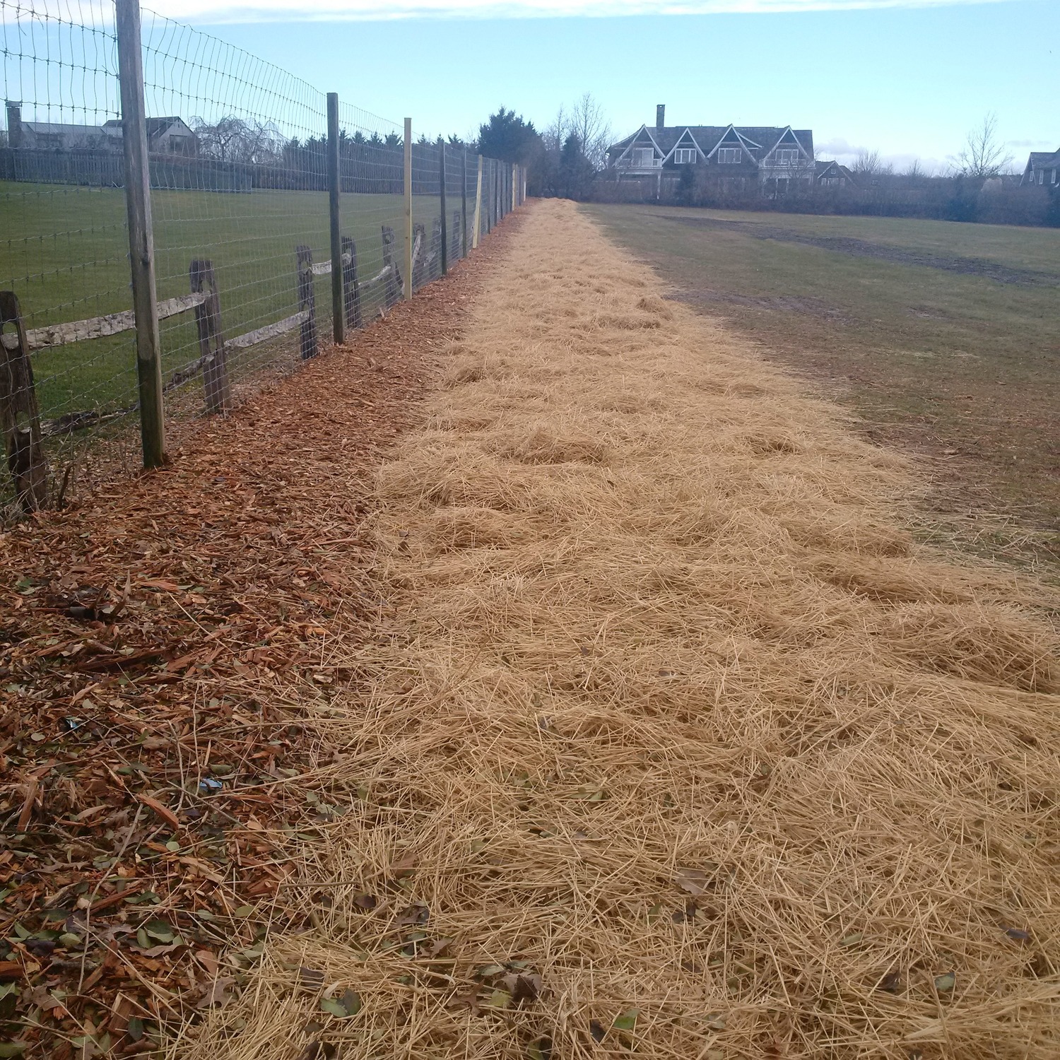 There was a time, not long ago, when a contested Butter Lane ag reserve was free of alpacas, chickens, and controversy.