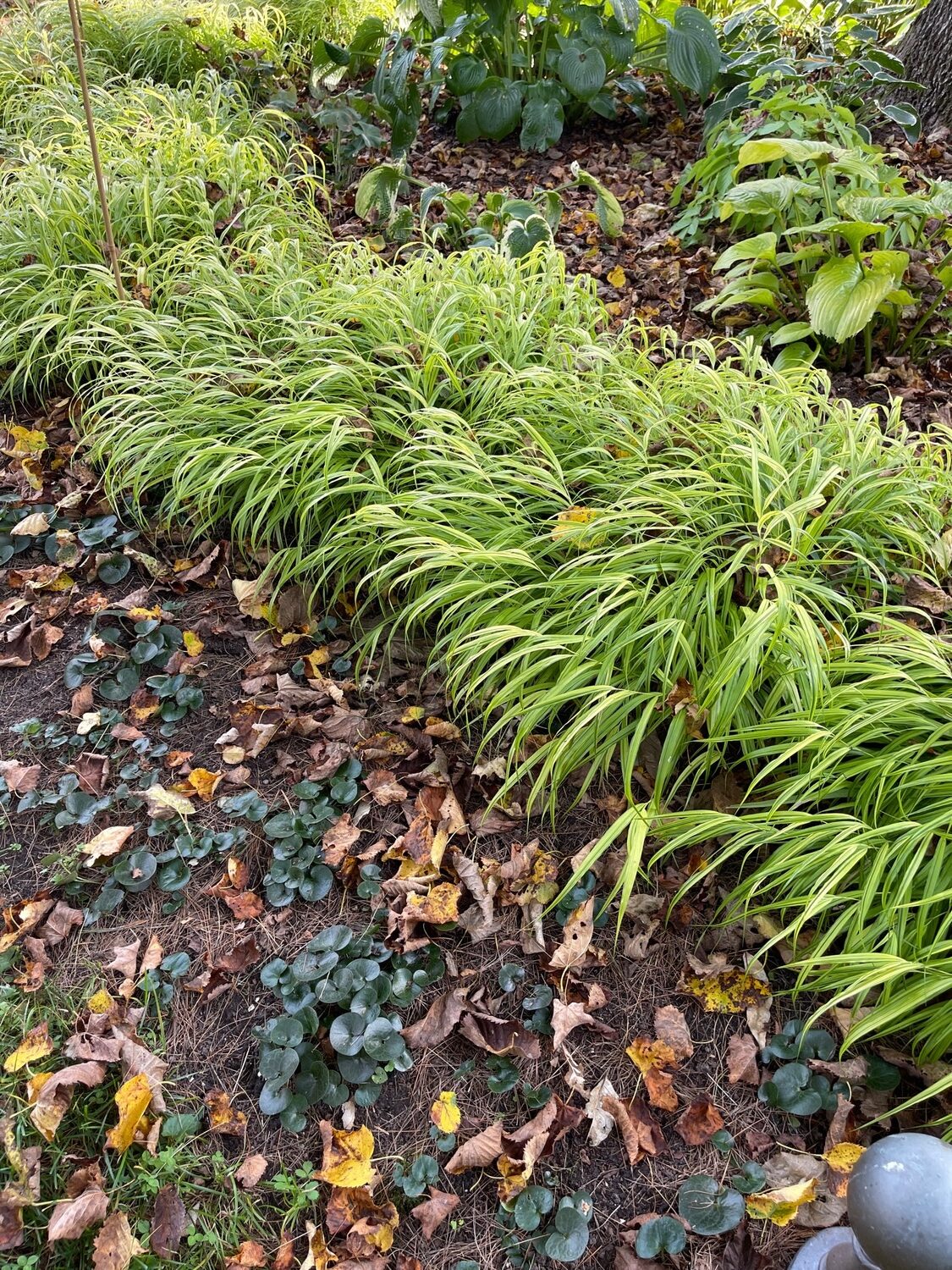 Leave the leaves.  COURTESY WESTHAMPTON GARDEN CLUB