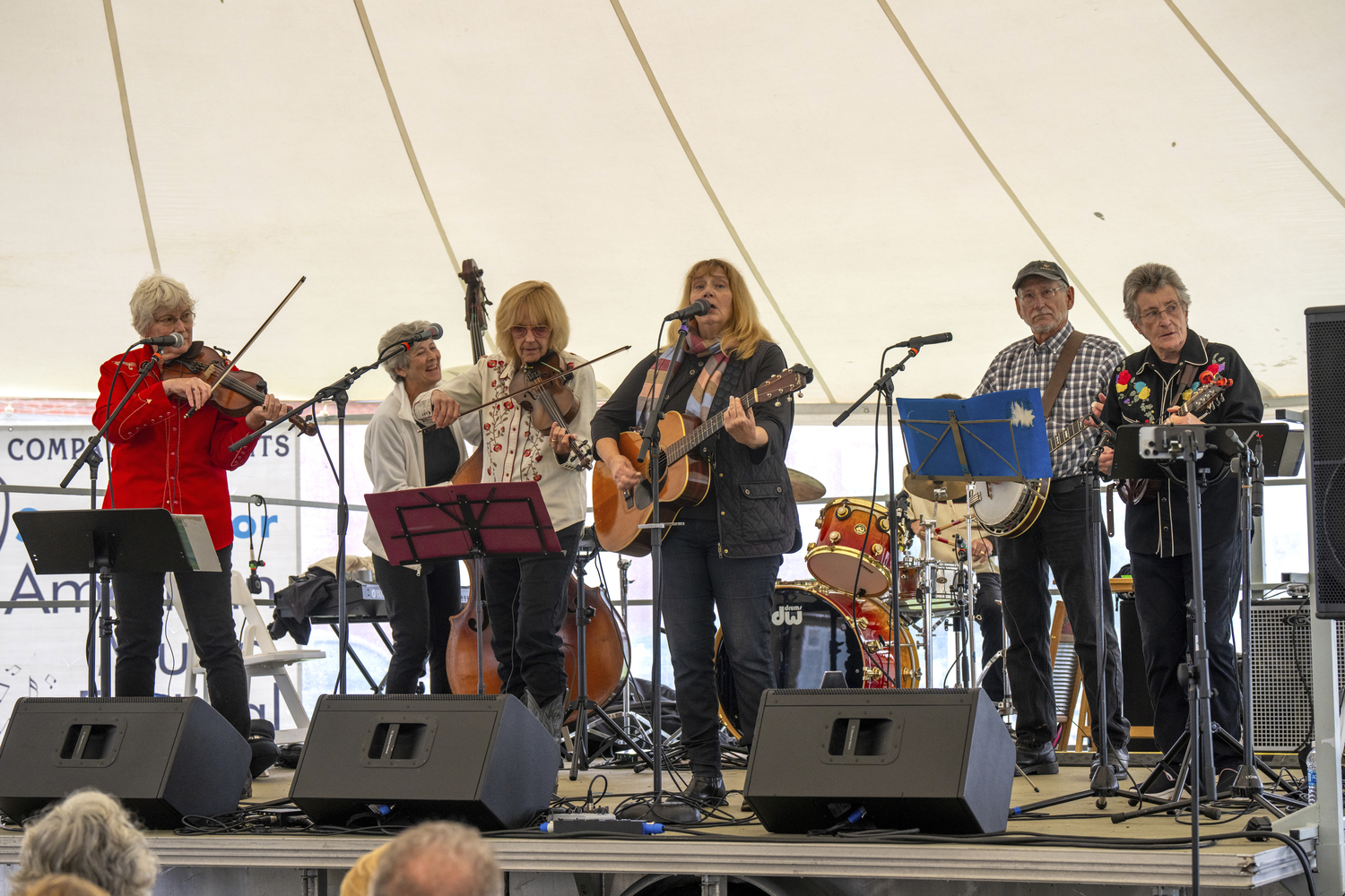 The Mudflats String Band performs.