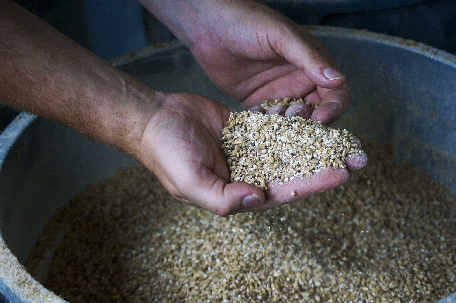 Getting Geeky About Craft Beer