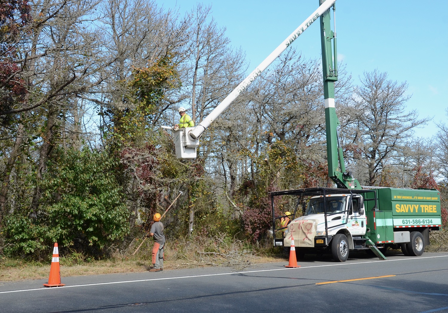 Crews working for the state Department of Transportation are cutting down thousands of dead trees along Montauk Highway in Napeague. The trees, which died from infestations by southern pine beetles, were deemed a potential hazard to motorists on the highway. 
KYRIL BROMLEY