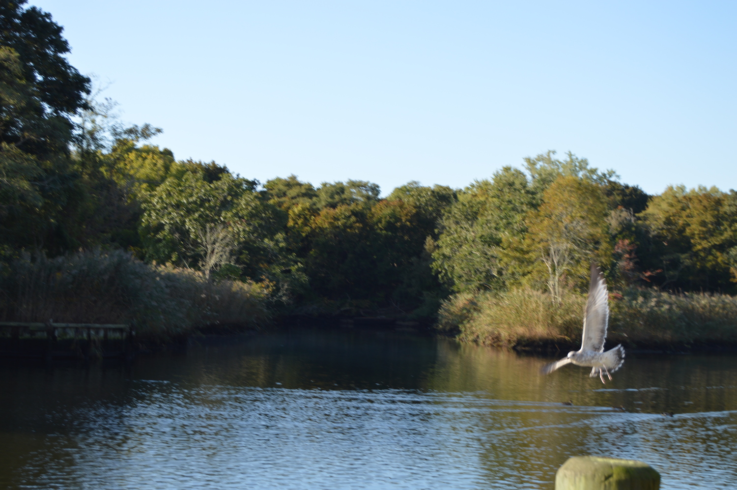 Phase I Construction of Riverside Maritime Trail to Begin in October. TOM GOGOLA