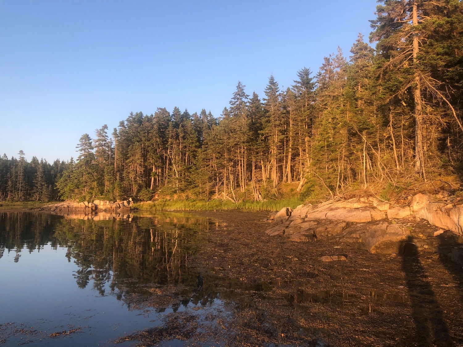 Acadia National Park served as the setting for this year's MacArthur Foundation Institute on Climate and Equity for its abundant, intact nature and vulnerability to climate change. COURTESY JENNIFER KELLER