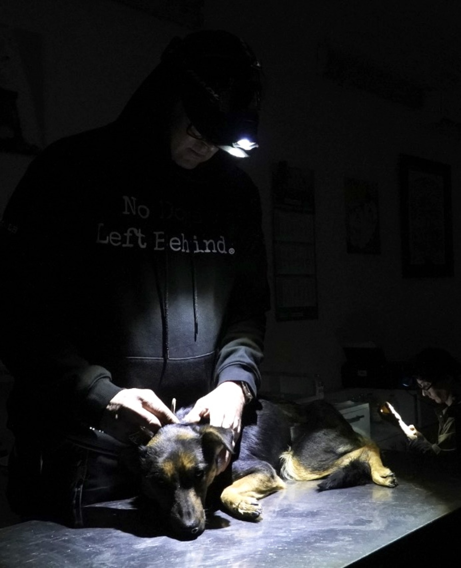 Candy receiving emergency treatment after being rescued in Kherson, Ukraine.