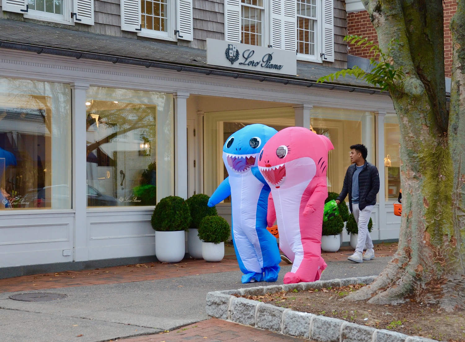 On the Pumpkin Trail in Sag Harbor on Halloween.