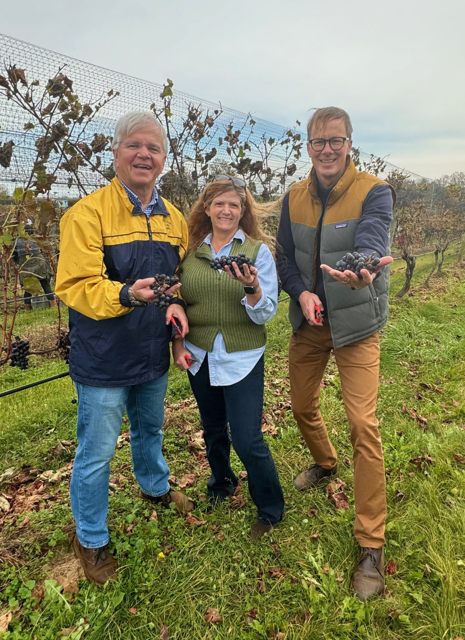 Last week, Assemblyman Fred W. Thiele Jr. and his wife, NancyLynn Thiele, were invited by Wölffer Estates CEO Max Rohn to spend time picking the top-end Merlot grapes during 2023 harvest at Wölffer Estates Vineyard. COURTESY OFFICE OF ASSEMBLYMAN FRED THIELE